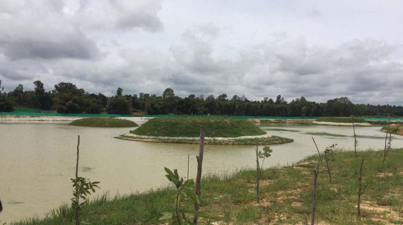 Traditional Lakes and Ponds Revival India